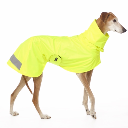 Hund im neongelben Regenmantel mit Reflektoren