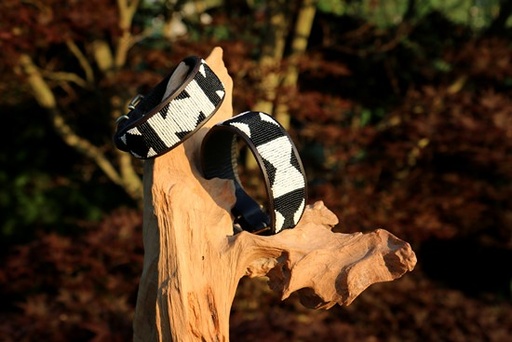 TKC Ebony & Ivory Lurcher