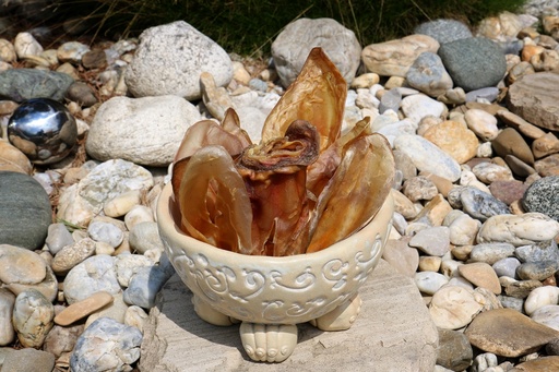 [KNTT-KlbOr] Rinderohren