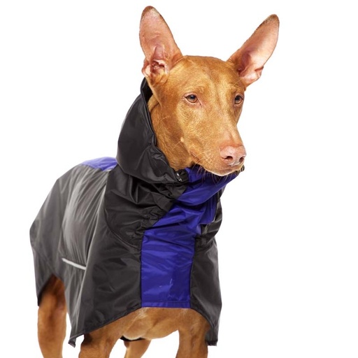 [P0031986] S&D Manuel Rain L1 Blau