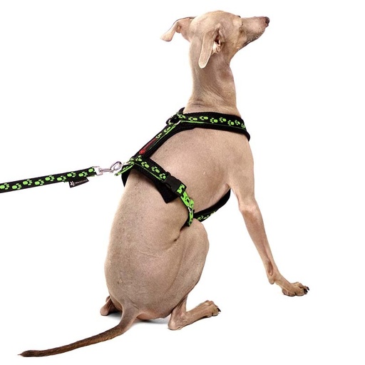 [P0031998] S&D Sportgeschirr Y Small Pawprint XS2 Grün