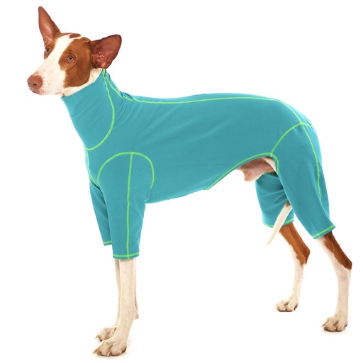 Hund in vierbeinigem, türkisfarbenem Overall ohne Verschlüsse